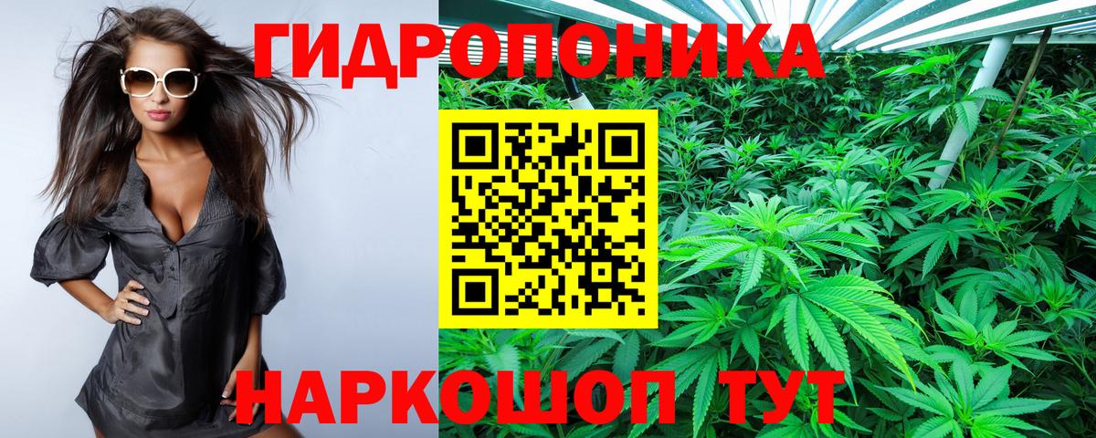 Прокопьевск  Шишки марихуана MAZAR  Вход с VPN  Канабис Ganja  Канабис SATIVA & INDICA 